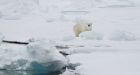 Norways Arctic archipelago sees record high temperatures