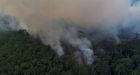 Fires in Amazon rainforest up 28 per cent in July, worrying experts