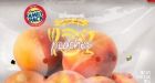 Fresh peaches recalled in Canada after salmonella outbreak in U.S.
