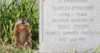 Groundhogs occasionally digging up bones, coffin pieces at Montreal cemetery