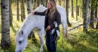 Deadly horse fever outbreak declared in Alberta