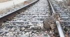 This bobcat was frozen to train tracks in B.C.