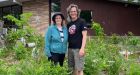 Couple's win forces Smiths Falls to revisit approach to 'naturalized' lawns
