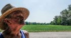Worst Italian drought in 70 years and extreme heat trigger state of emergency, drop crop yields