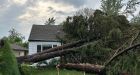 Downed trees, damaged homes in Essex County, Ont., as tornado researchers dispatched to region