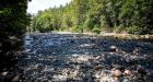 B.C. desperately thirsty for rain after a long summer dry spell