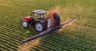 Global decline in male fertility linked to common pesticides