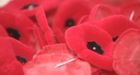 Veterans furious after poppy collections stolen *
