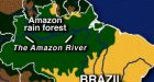 Amazon rainforest to shrink 20 per cent by 2030