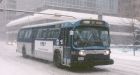 'Snow' fun: Calgary braces for wintry blast