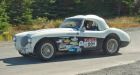 Newfoundland's Targa auto race a gruelling thrill