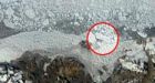 Fragmenting Arctic ice shelf a sign of warming temperatures