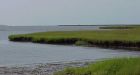 Study douses rising sea-level predictions