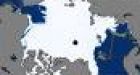 Arctic Sees Massive Gain in Ice Coverage