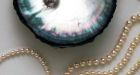 Woman finds 26 pearls in her oyster
