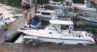 Black bear jumps into B.C. man's boat and mauls him over salmon catch
