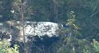 Survivor tells investigators about B.C. crash
