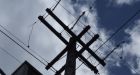 Toronto dog killed by hydro jolt