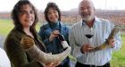 Winery takes `green' to the limit