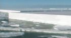 Glacial ice melting at alarming rate