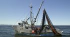 U.S. to compensate B.C. fishermen under latest pact to protect salmon