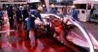 Plan would allow commercial whaling around Japan