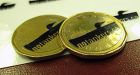 Environmentalists vow to continue black loonie campaign