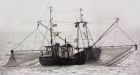 Studies track fishing industry's history over 1,000 years