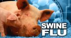 Swine flu parties 'dangerous practice'