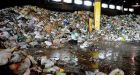 Green bins: A wasted effort?