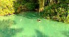 Vancouver's Lost Lagoon now a blue lagoon