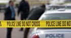 Probe launched after officer fires gun at stolen cruiser