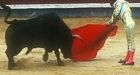 Barcelona considers bullfighting ban