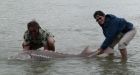 Fraser River sturgeon poachers hit with 'precedent-setting' court fines in 2009