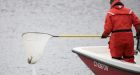 Ontario takes Asian carp fight to U.S. Supreme Court