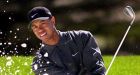 Tiger's tale will be an expensive epic