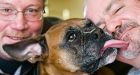Neighbour saves dog using CPR