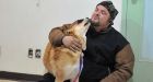 Dixie the dog finds a home