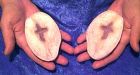Crosses in potatoes appear to online sellers
