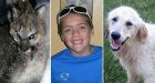 Born to be a hero: Why Angel saved the day