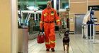 Canadian canine search teams depart for Haiti