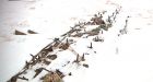 Storm digs up shipwreck