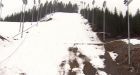 Much-needed snow falls on Cypress Mountain