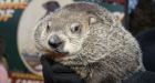 PETA proposes robotic groundhog for US festival