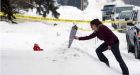 Boys found dead were at centre of custody fight