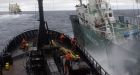 Activist ship, the Bob Barker, collides with whaler