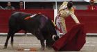 Spanish matador aged 16 kills 6 bulls in feat usually reserved for veterans