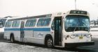 Edmonton bus attack 'racist'