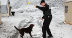 New search dog joins CF security team at Olympics