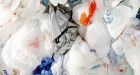 Province looks to reduce the use of plastic bags